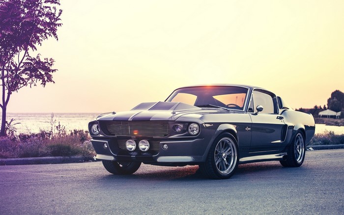 1967 Ford Mustang Shelby GT500 parked by the water