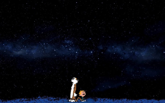 Calvin and Hobbes looking at the starry night sky