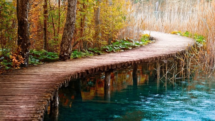 Wooden boardwalk over turquoise water in autumn forest