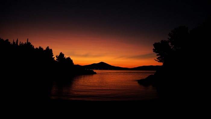 Calm Orange Sunset Over Silhouetted Trees and Water