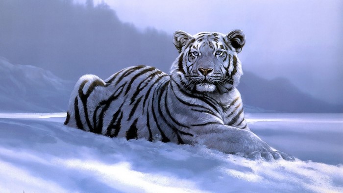 1920x1080 Animals Tiger Artwork White Tigers 386 Kb Hd Wallpaper