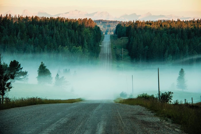 Foggy road through a forest with mountains in the distance