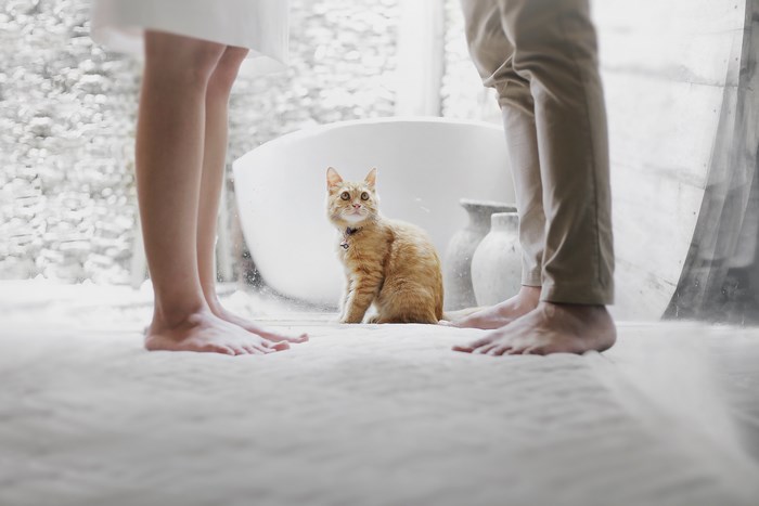Couple and cat in a bathroom