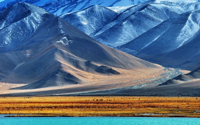 Snow-capped mountains overlooking a lake and grassy field