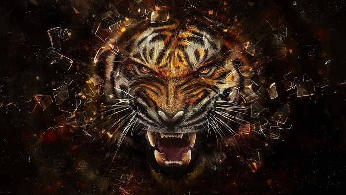 Aggressive Tiger Face Breaking Through Glass Shards