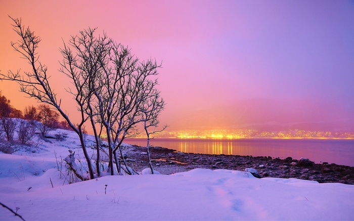 Snowy landscape with bare trees and city lights across water