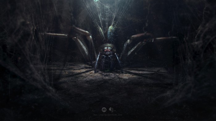 Giant spider in a dark, web-filled environment
