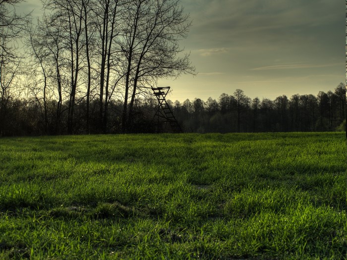 Hunting blind in a grassy field with trees