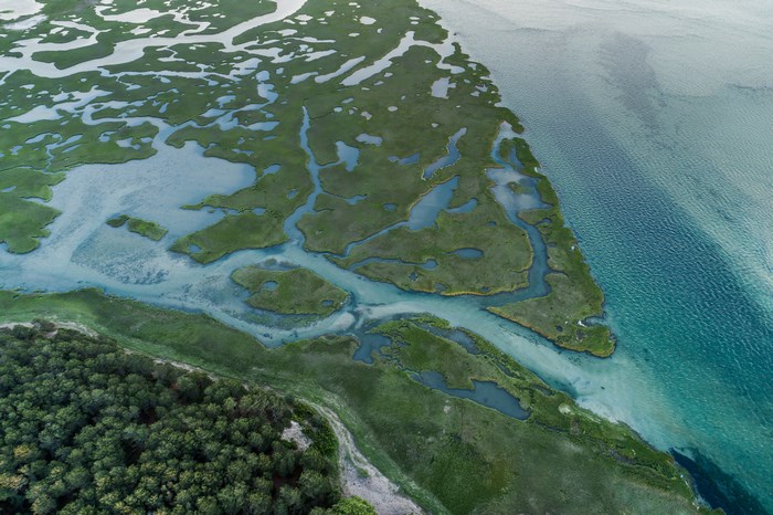 Aerial view of a coastal marsh with forest and ocean