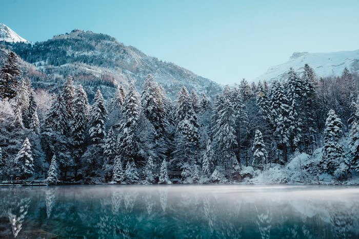 Snow-covered trees reflected in a misty lake with mountains