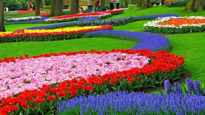 Colorful flower beds in a park with trees