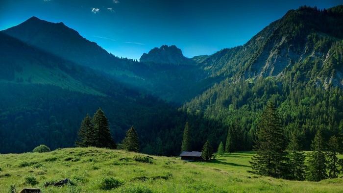 Mountain valley with pine forest and a small cabin