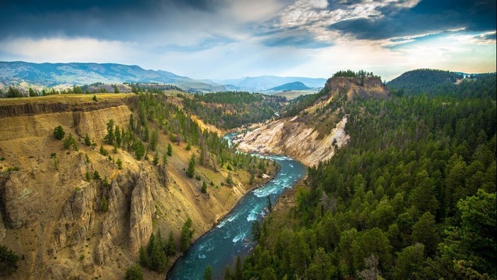 River Winding Through Yellowstone National Park Canyon