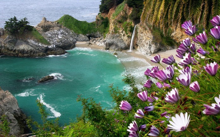 Secluded Beach with Waterfall and Vibrant Flowers