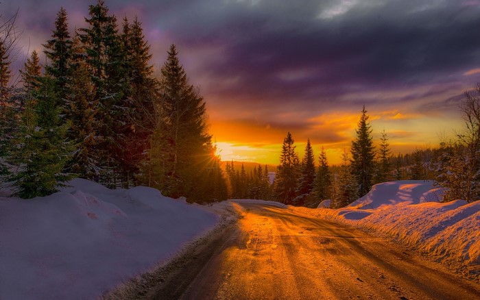 Winter sunset over a snowy road in a forest