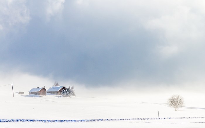 Snowy landscape with cabins and a bare tree