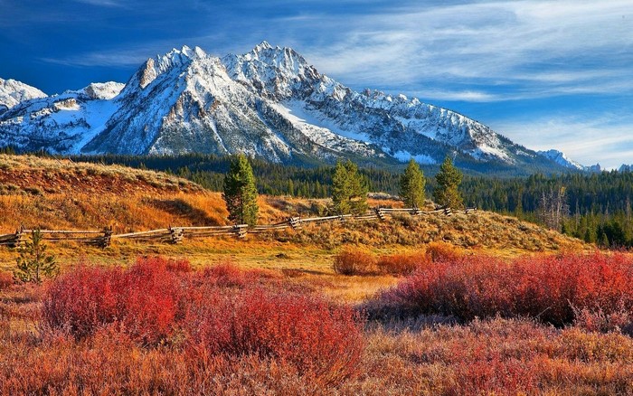 Snowy Mountain Peak with Fall Foliage and Wooden Fence