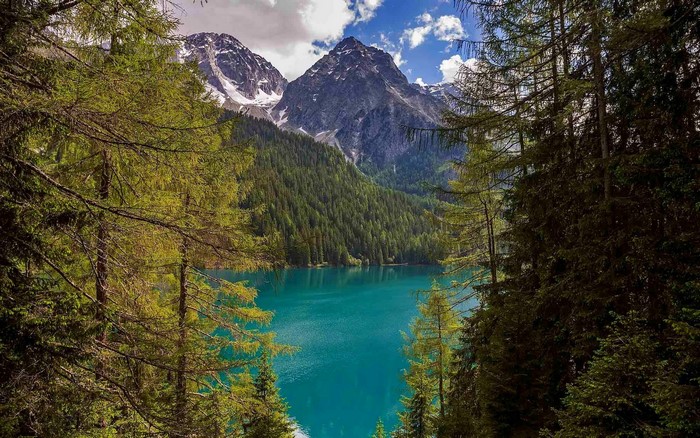 Turquoise lake surrounded by forest and mountains