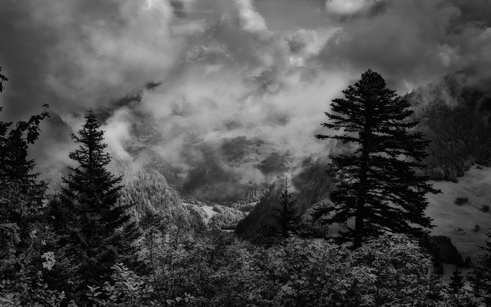 Monochrome mountain landscape with clouds and trees