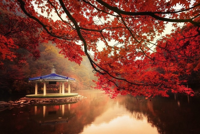 Autumn lake with gazebo and red maple leaves