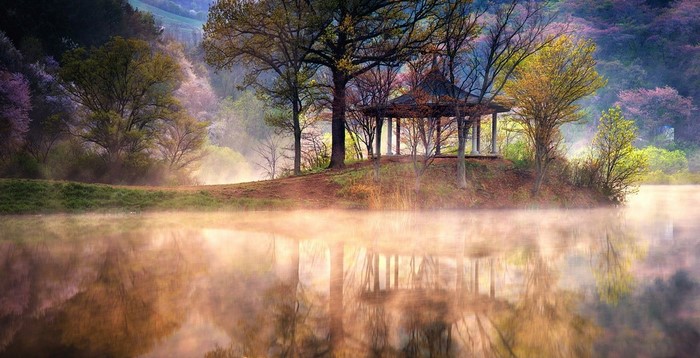 Gazebo by a misty lake in spring