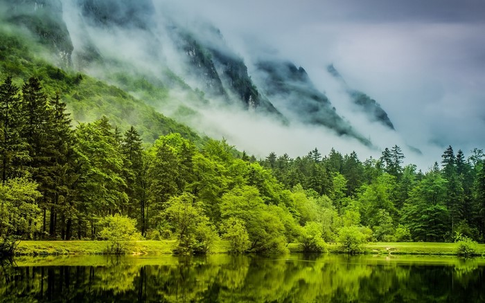 Misty Mountain Lake with Lush Green Forest in Germany