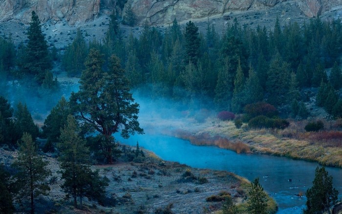 Misty River Through Forest and Mountains in Oregon