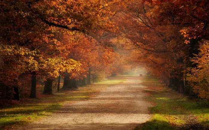 Autumn tunnel of trees with a dirt road and two people