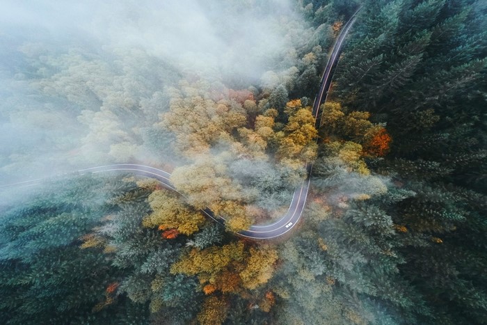 Aerial view of a winding road through a foggy forest in fall