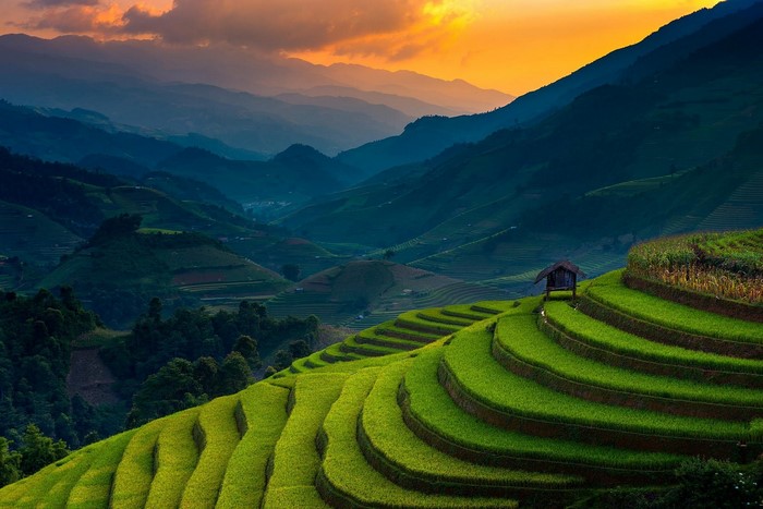 Terraced rice paddies in Vietnam at sunset
