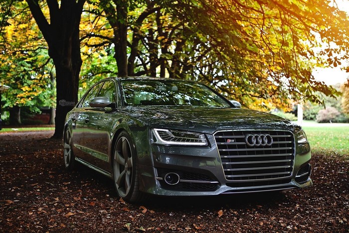 Audi S8 parked under autumn trees