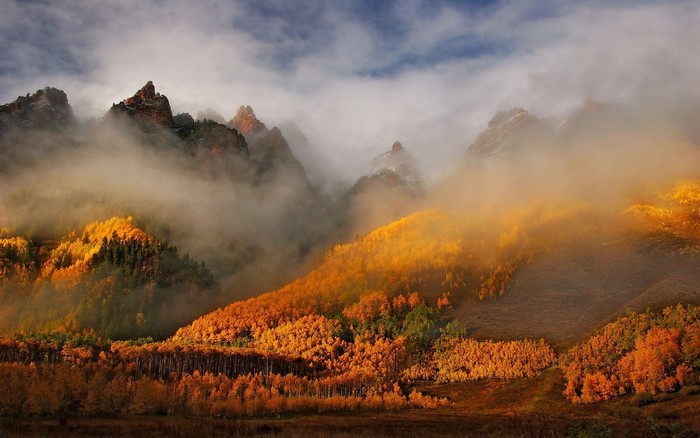 Misty Mountains with Autumn Forest in Colorado