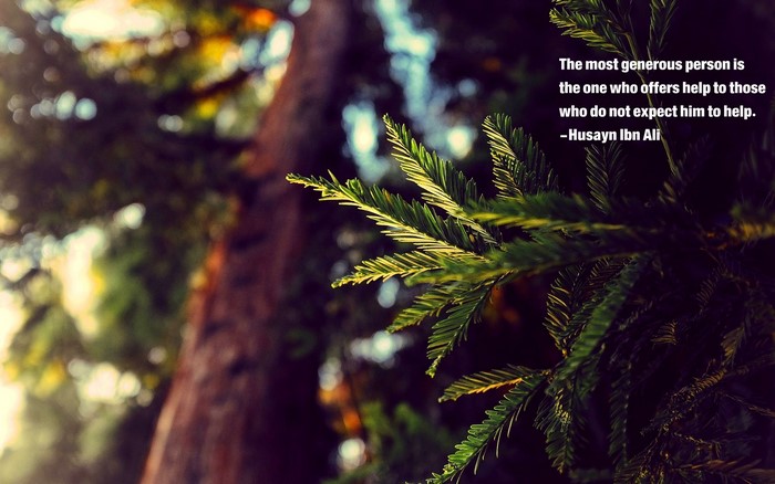 Inspirational Quote by Imam Hussain