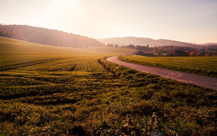 Curving road through a sunlit farmland landscape