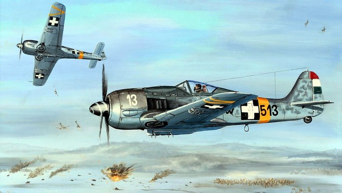 World War II Focke Wulf FW 190 aircraft in combat