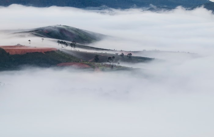 Misty mountains with rolling hills and trees