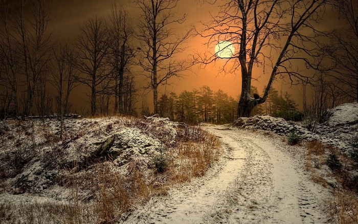 Winter Dirt Road in Norway Under Sunlight