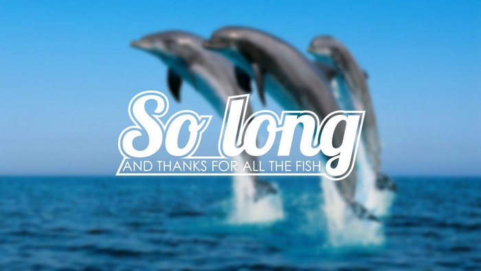 Dolphins jumping from the ocean with text