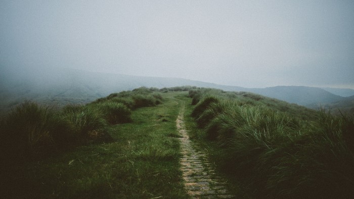 Stone path through grassy hills in the mist