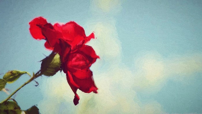Painting of a red rose against a blue sky