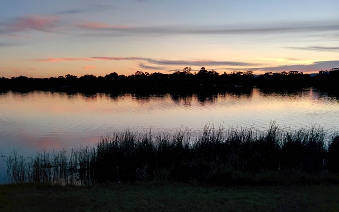 Lake at sunset with silhouetted trees and reeds