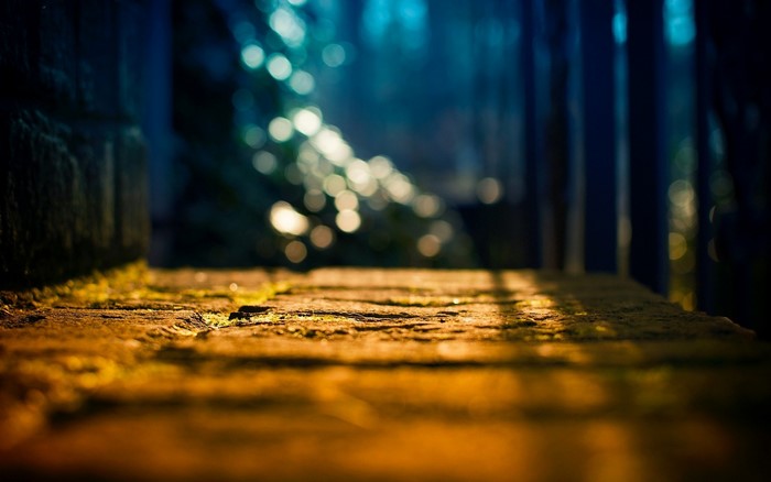 Sunlight on a mossy stone path with bokeh background