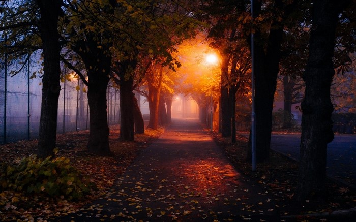Autumn path with streetlights and mist