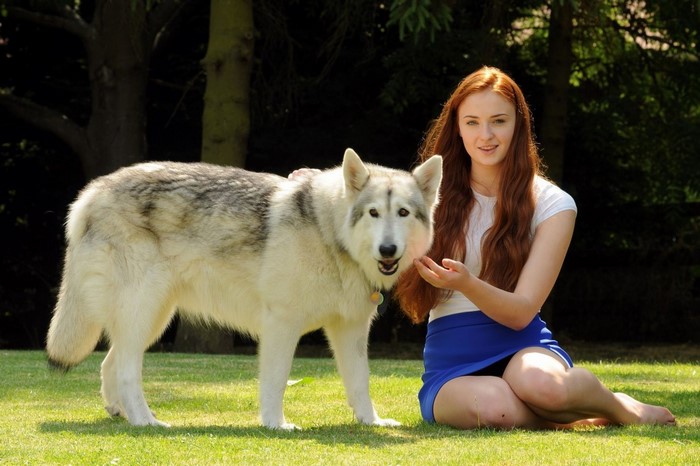 Sophie Turner with a wolf dog outdoors