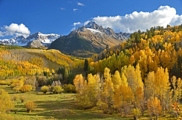 Autumn valley with yellow trees and snow-capped mountains