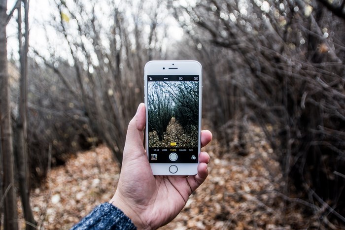 iPhone capturing a forest path in fall