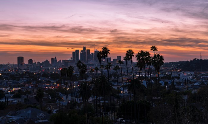 Los Angeles skyline at sunset with palm trees