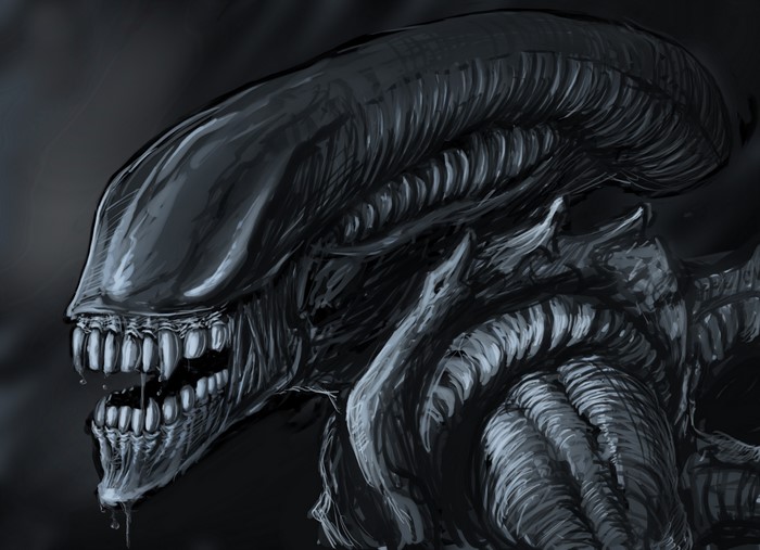 Xenomorph from Alien movie artwork