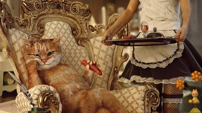 Cat in a chair with a maid serving food