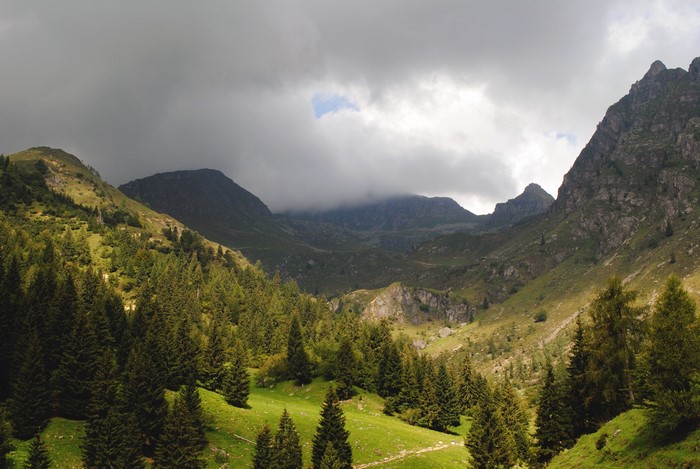Mountain valley with pine trees and clouds
